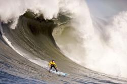 开云体育APP下载-双城记，当欧冠淘汰赛的宿命感，遇上湖人横扫尼克斯的统治力