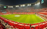 开云官网-郁金香凋零于北欧寒锋，巴雷拉一剑封喉，瑞典在2026世界杯A组演绎北欧神话新章